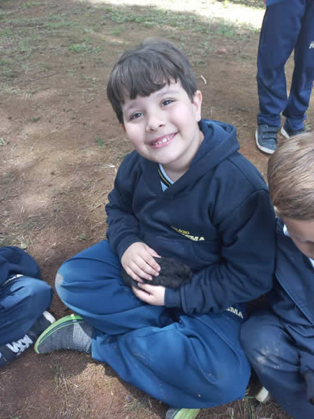 Bicho Mania 2022